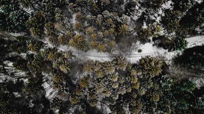 Apoyo verde coreano impulsa la transición energética indonesia