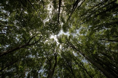 Indonesië & Zuid-Korea: De toekomst van duurzame energie nu