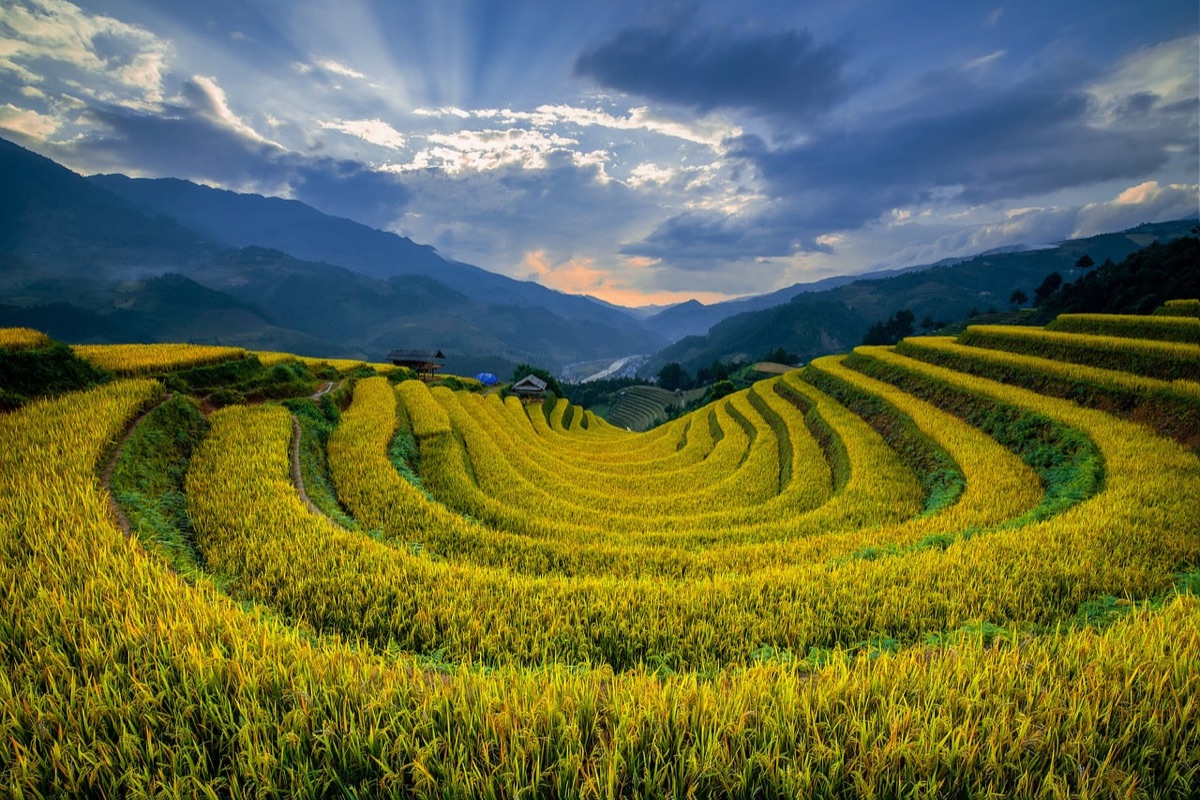 village in indonesia