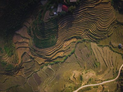 Landbouw Indonesië: 29,1% grond onder ecologische druk nu